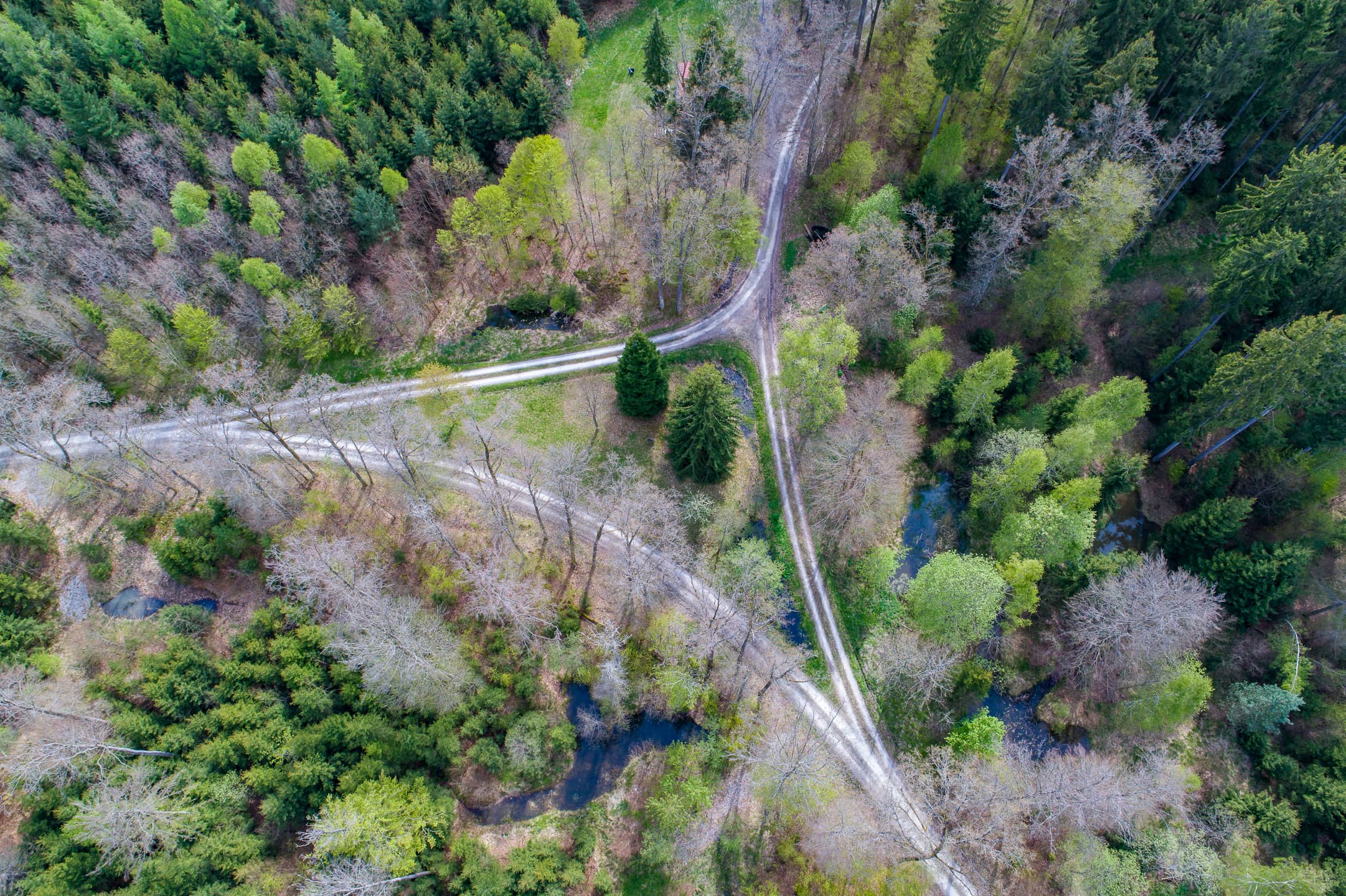 Pücklerwald